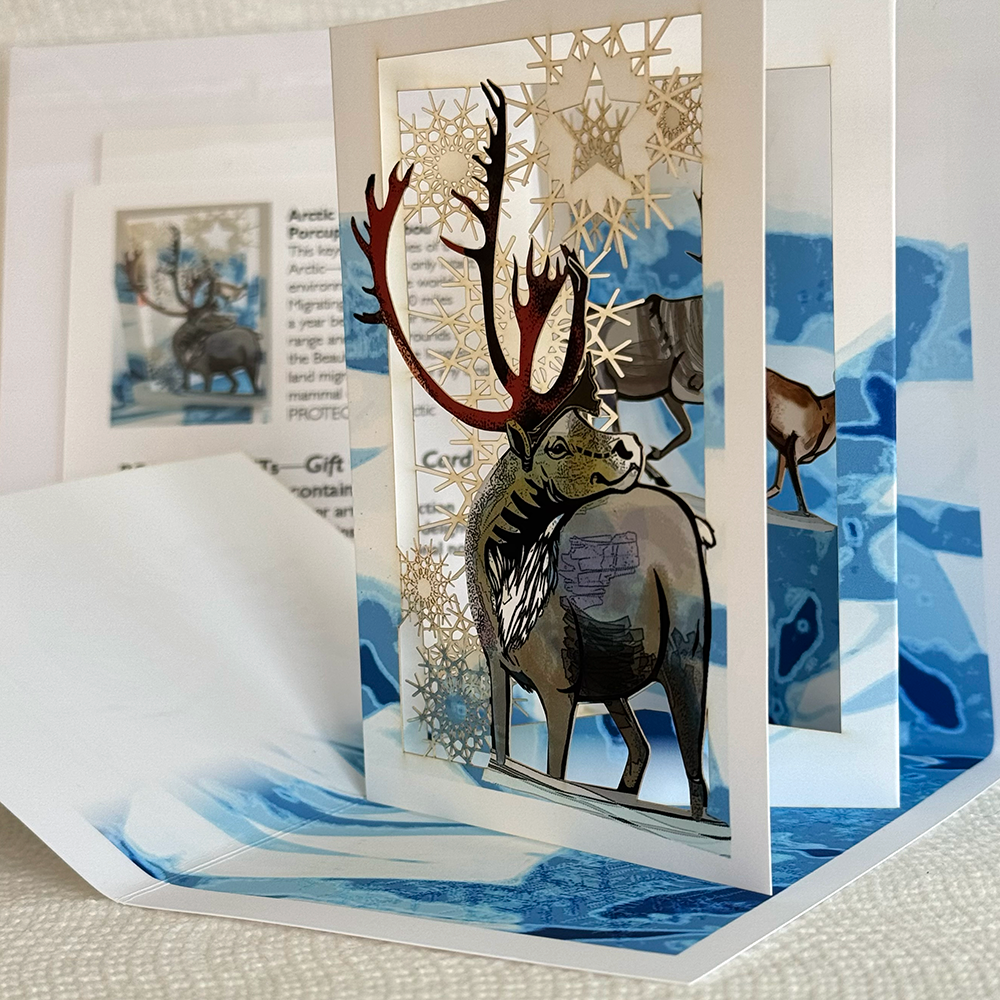 Arctic Caribou of the Porcupine Herd