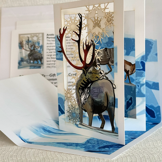 Arctic Caribou of the Porcupine Herd