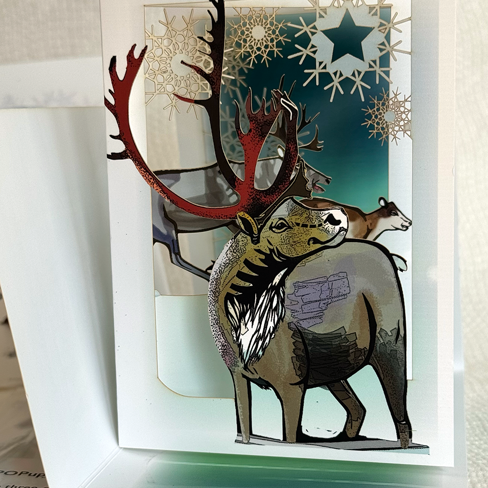 Arctic Caribou of the Porcupine Herd