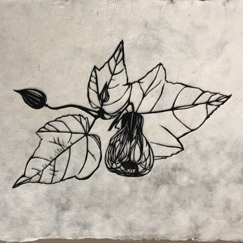 Chinese lantern flower (Abutilon spp.) botanical papercut