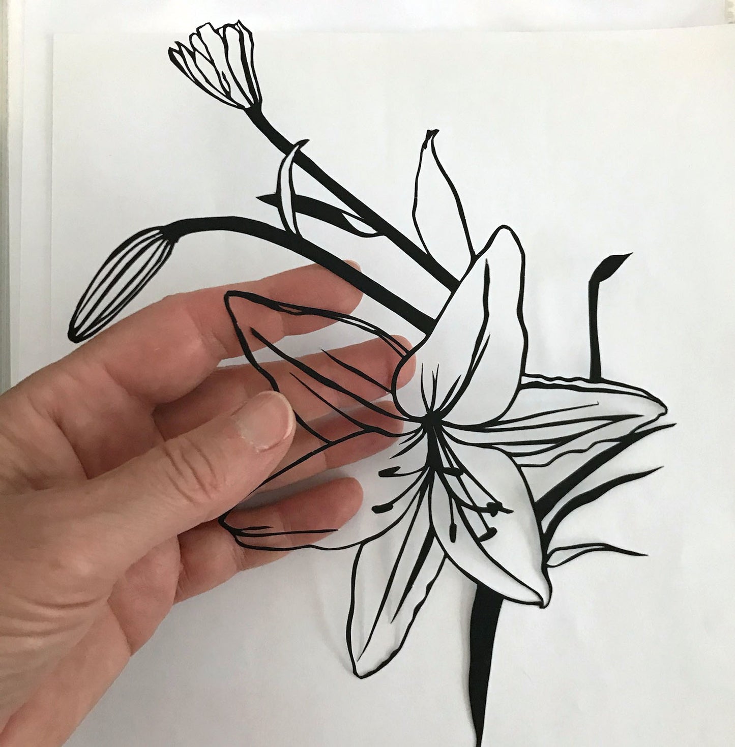 Tiger lily botanical papercut