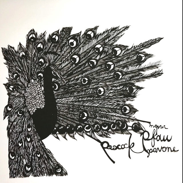 Posing Peacock Papercut and/or Print (giclée)