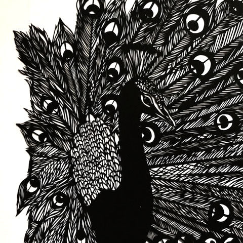 Posing Peacock Papercut and/or Print (giclée)