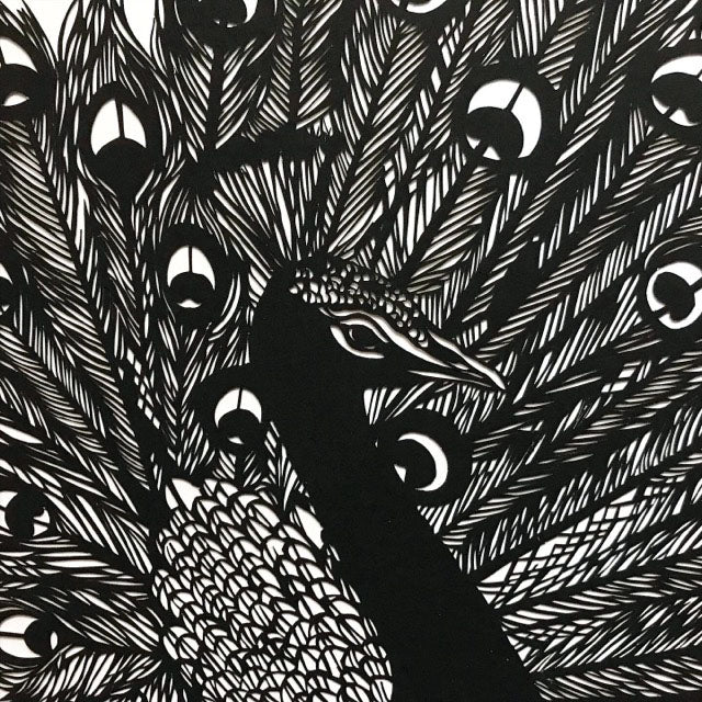 Posing Peacock Papercut and/or Print (giclée)