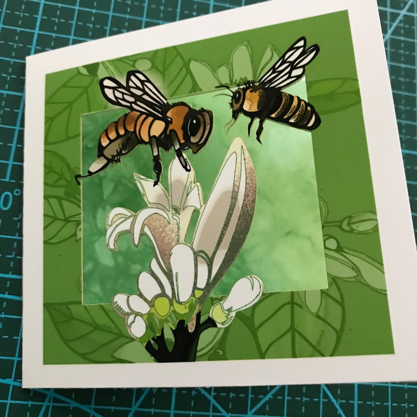 Bugs, Bugs, Bugs! —The Insect Suite