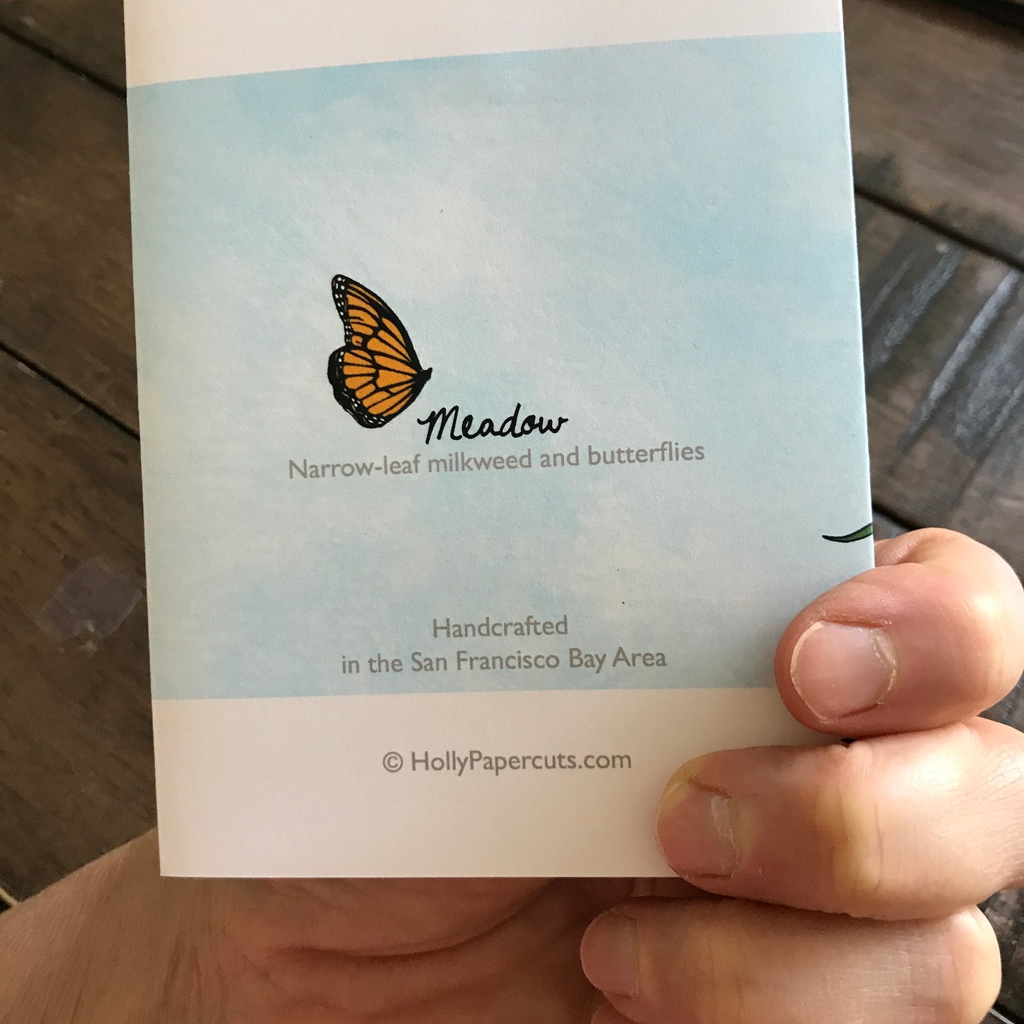 Bugs, Bugs, Bugs! —The Insect Suite