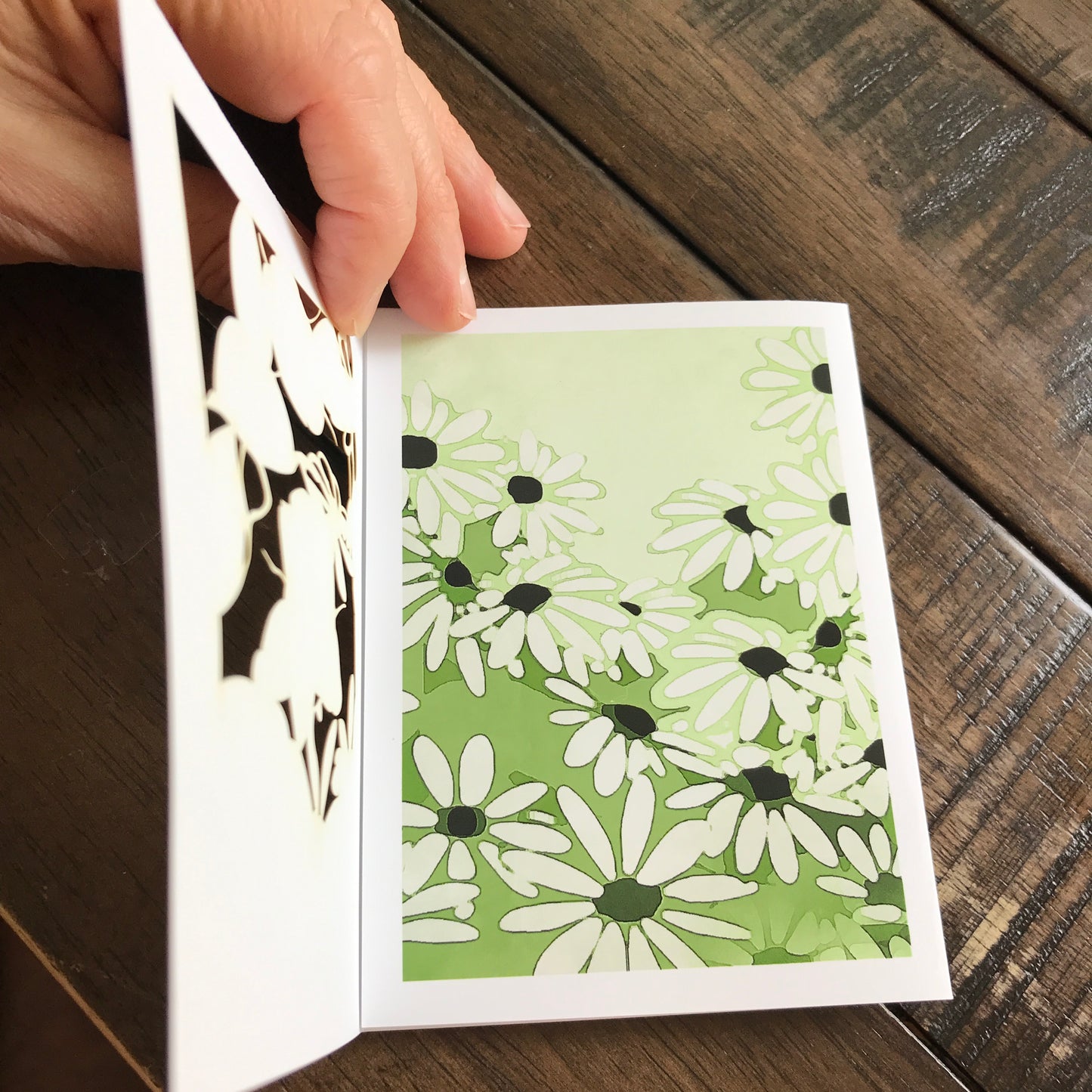 Bugs, Bugs, Bugs! —The Insect Suite