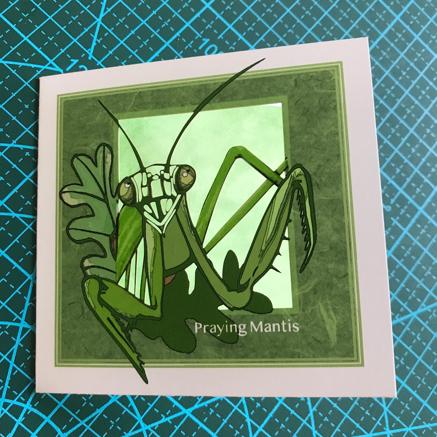 Bugs, Bugs, Bugs! —The Insect Suite