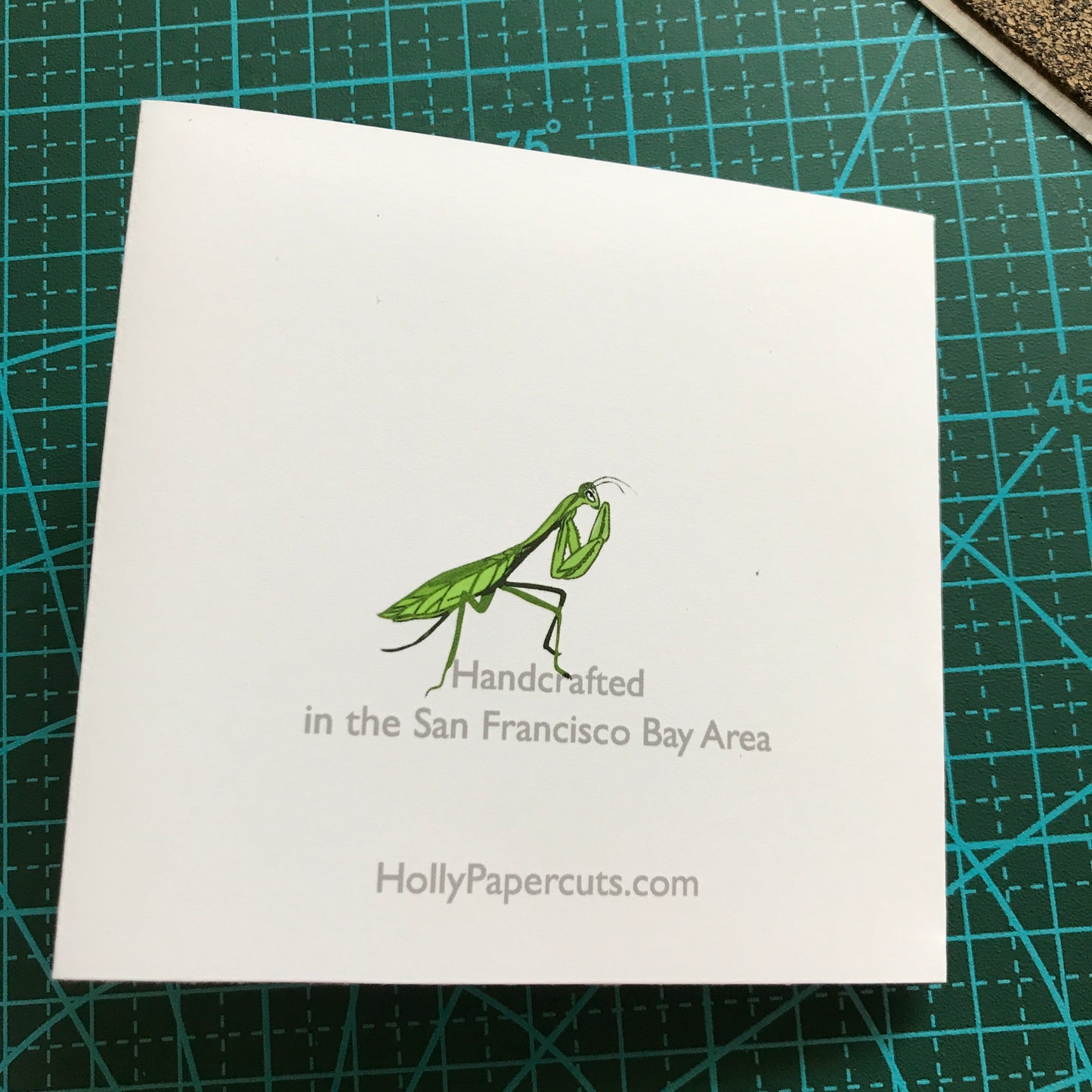 Bugs, Bugs, Bugs! —The Insect Suite