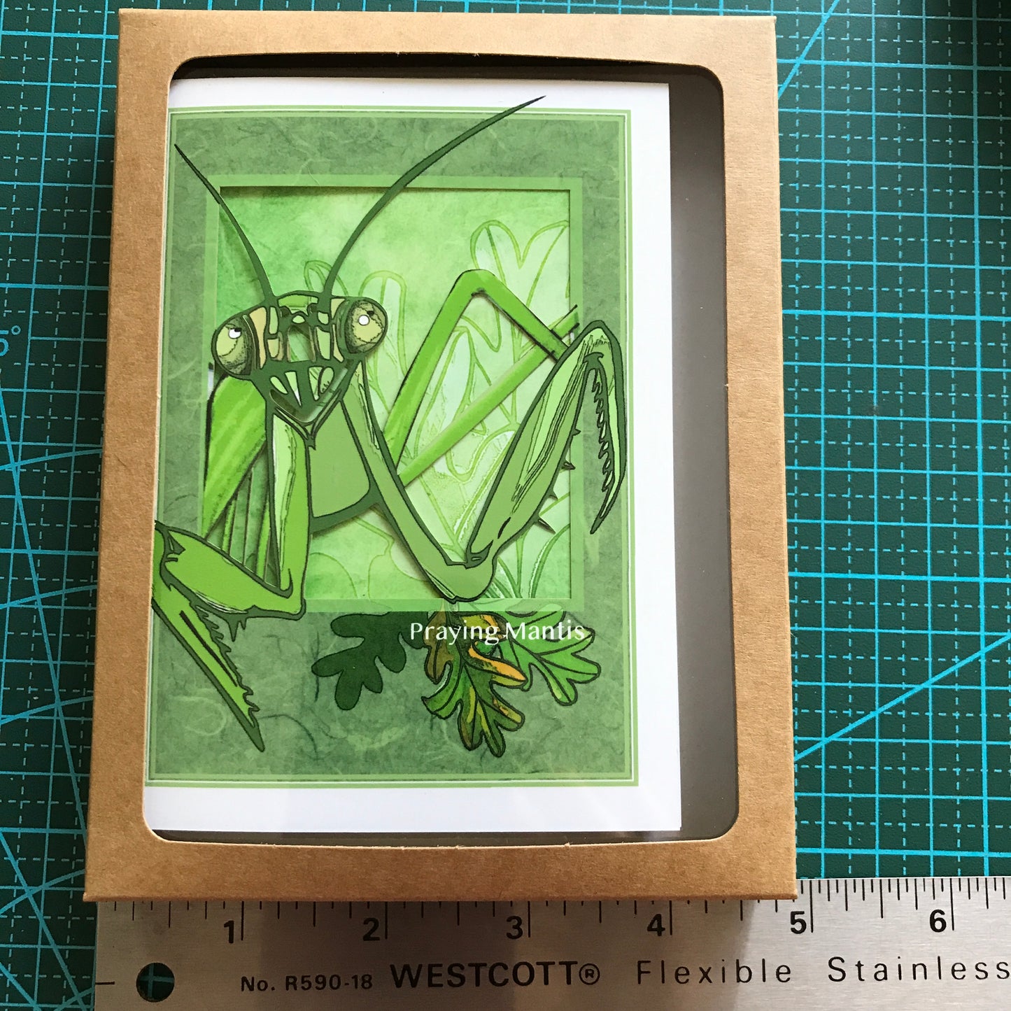 Bugs, Bugs, Bugs! —The Insect Suite