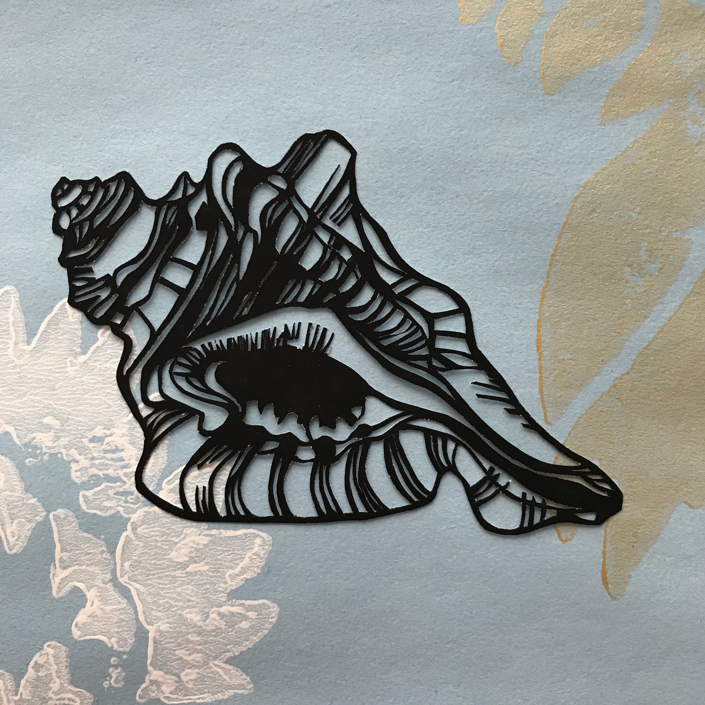 Shell Studies