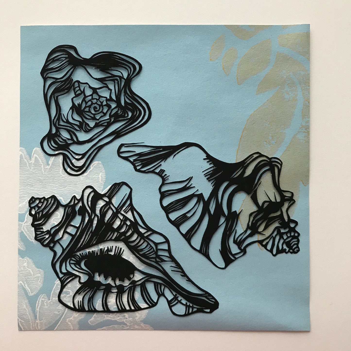 Shell Studies