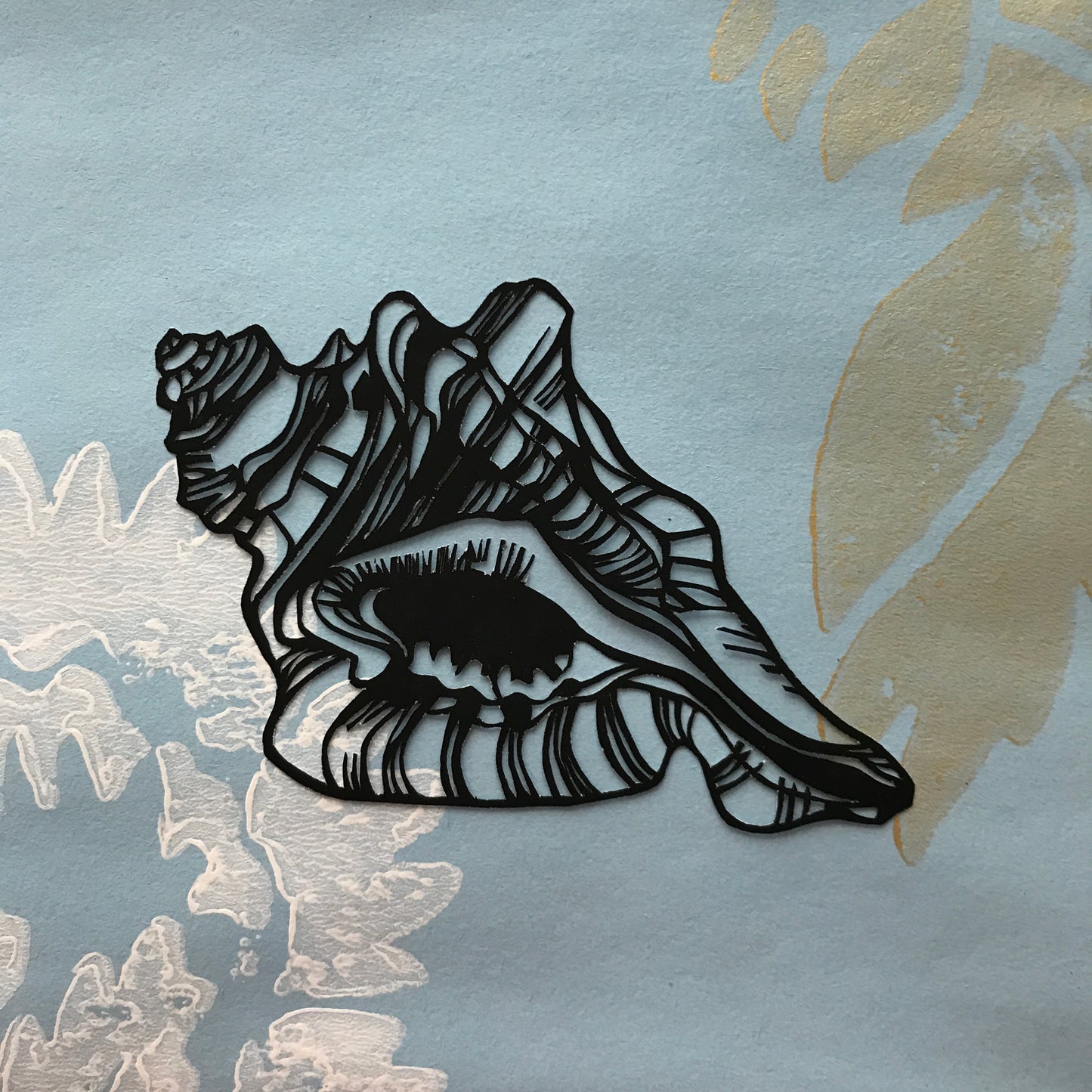 Shell Studies