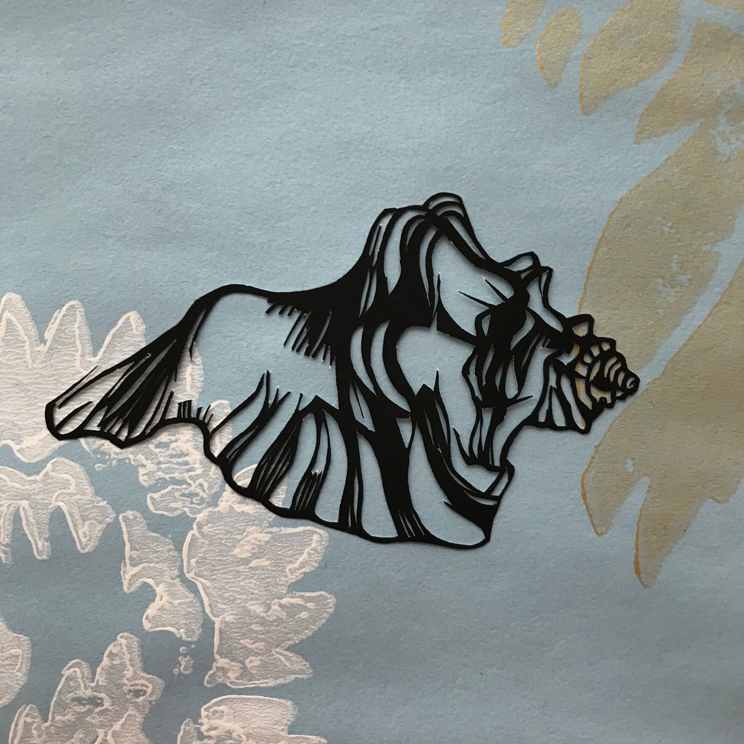 Shell Studies