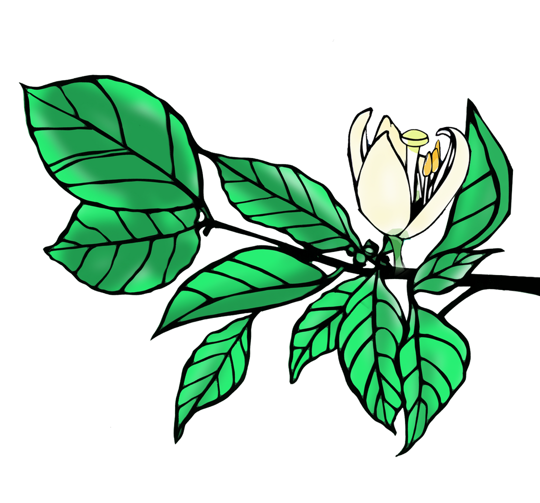Produce More vs. Trying for Perfect (+ new designs)