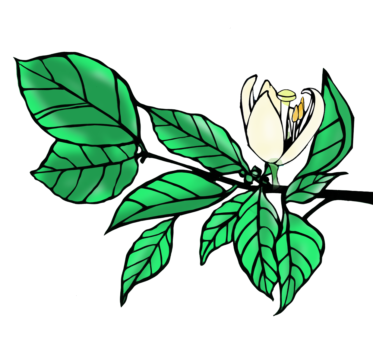 Produce More vs. Trying for Perfect (+ new designs)