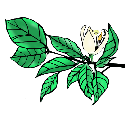 Produce More vs. Trying for Perfect (+ new designs)