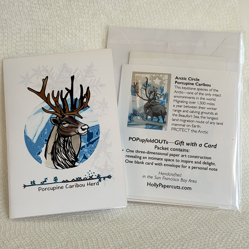 Arctic Caribou of the Porcupine Herd