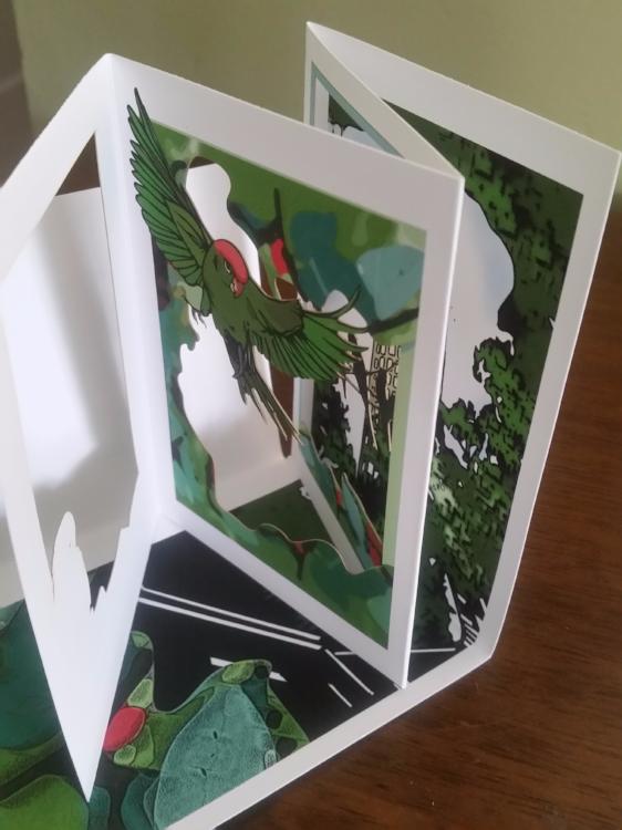 SF Parrots of Telegraph Hill (POPupfoldOUT)