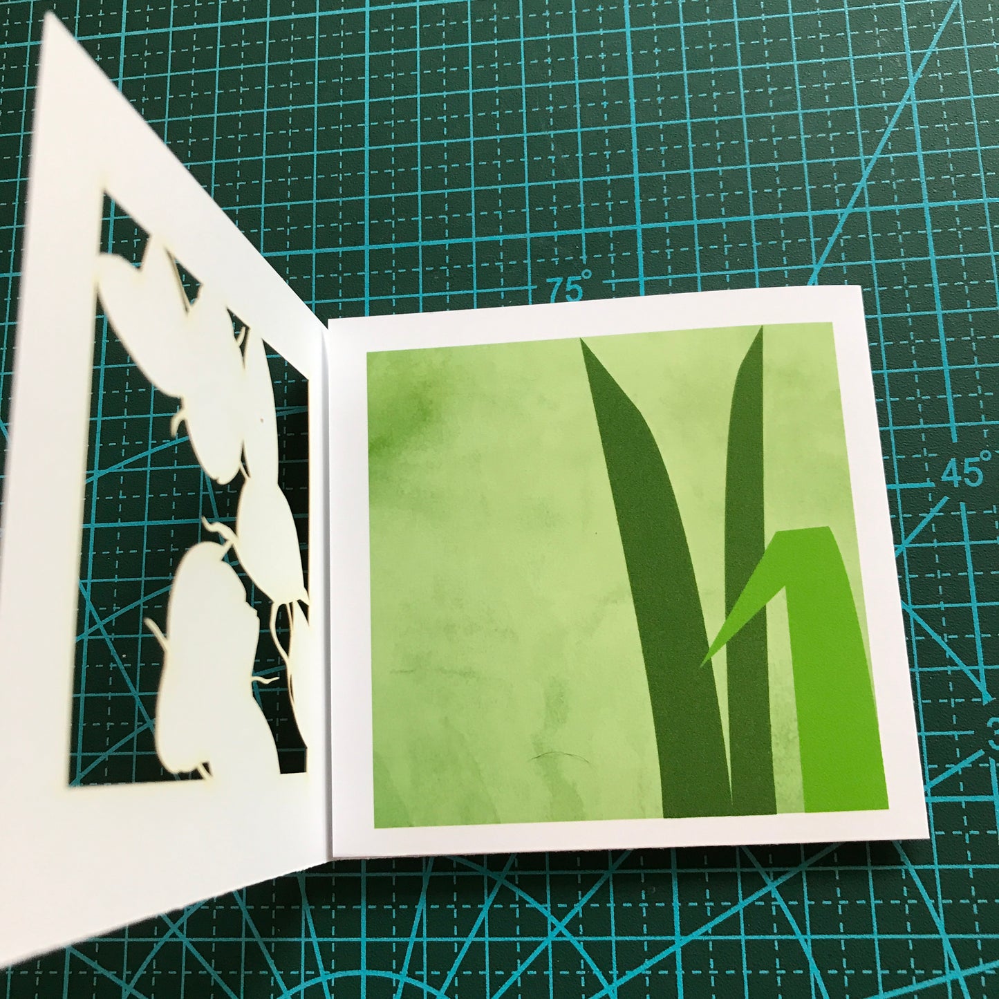 Bugs, Bugs, Bugs! —The Insect Suite