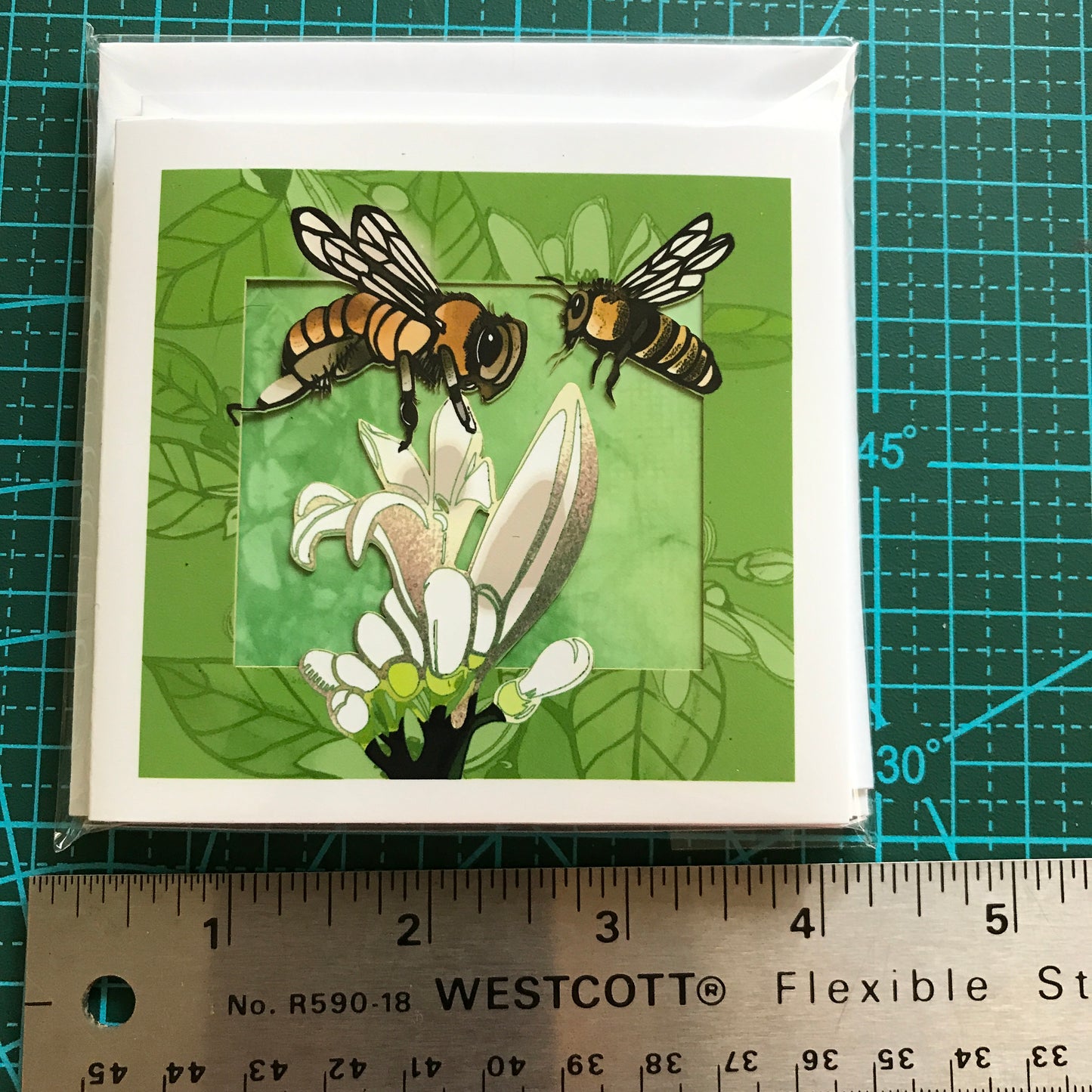 Bugs, Bugs, Bugs! —The Insect Suite