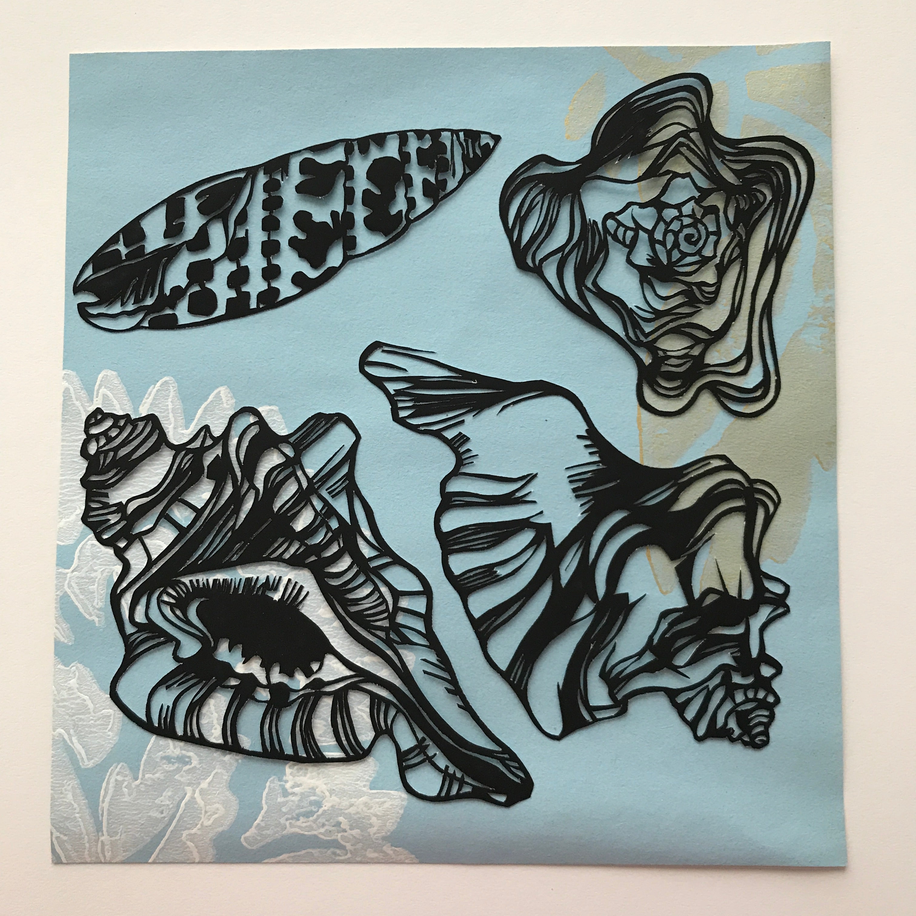 Shell Studies – HollyPapercuts