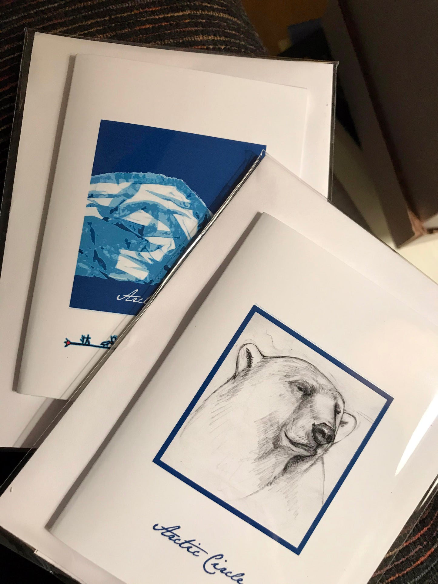 Polar Bears of the Arctic Circle