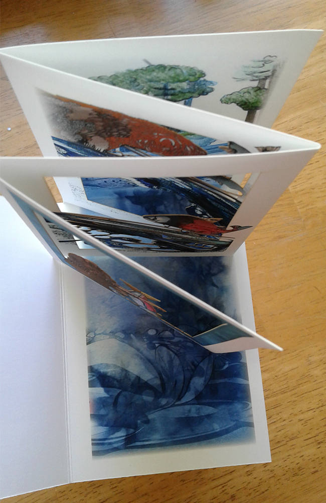 Salmon Run with Bears (POPupfoldOUT)