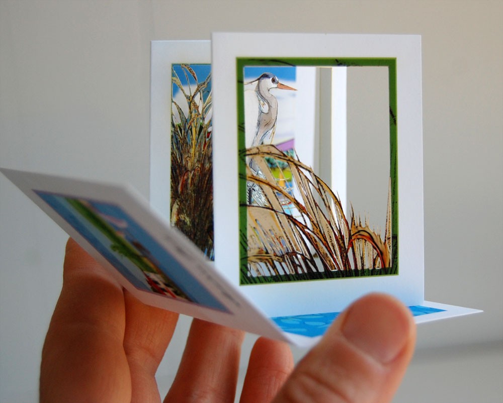 Shoreline Blue Heron in the Reeds (POPupfoldOUT)