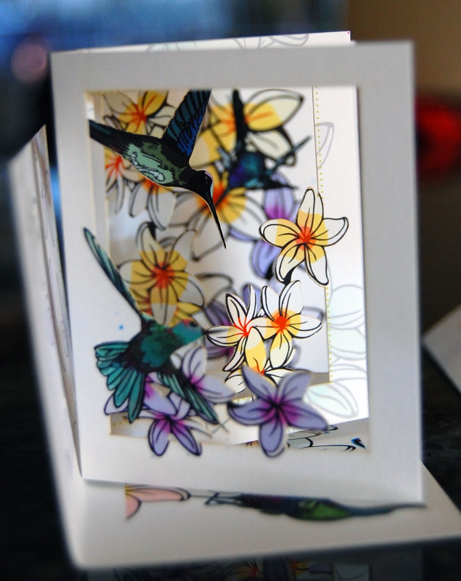 Hummingbirds within Plumeria (POPupfoldOUT)